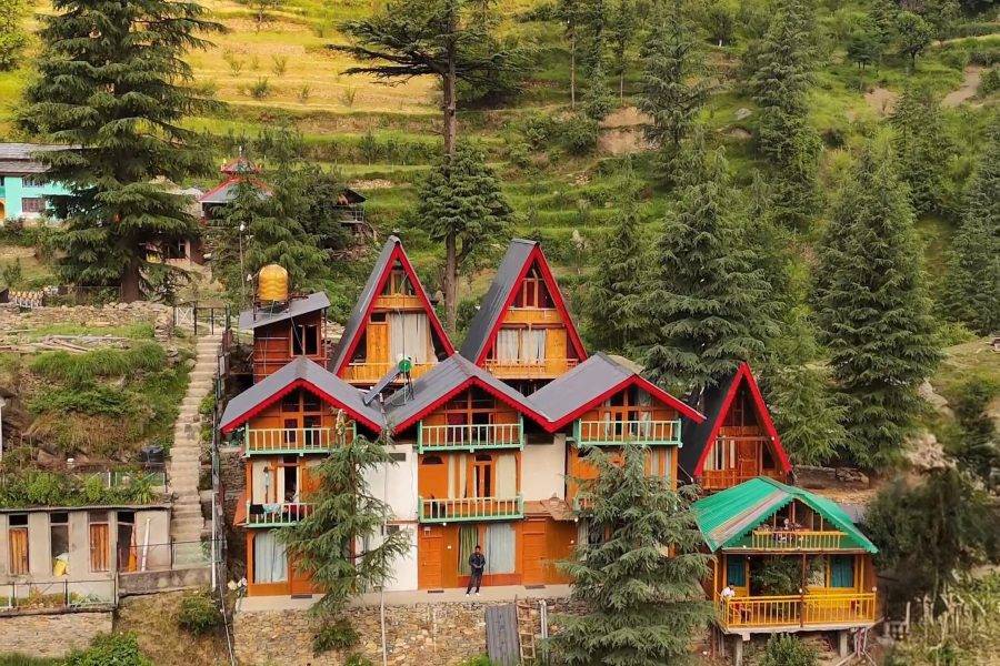 Forestview Stay, Jibhi