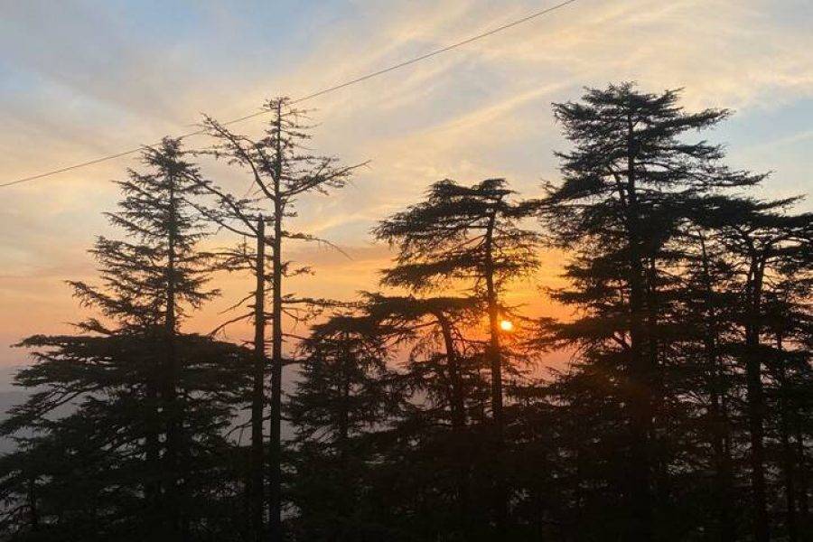 Heritage Retreat Stay, Shimla