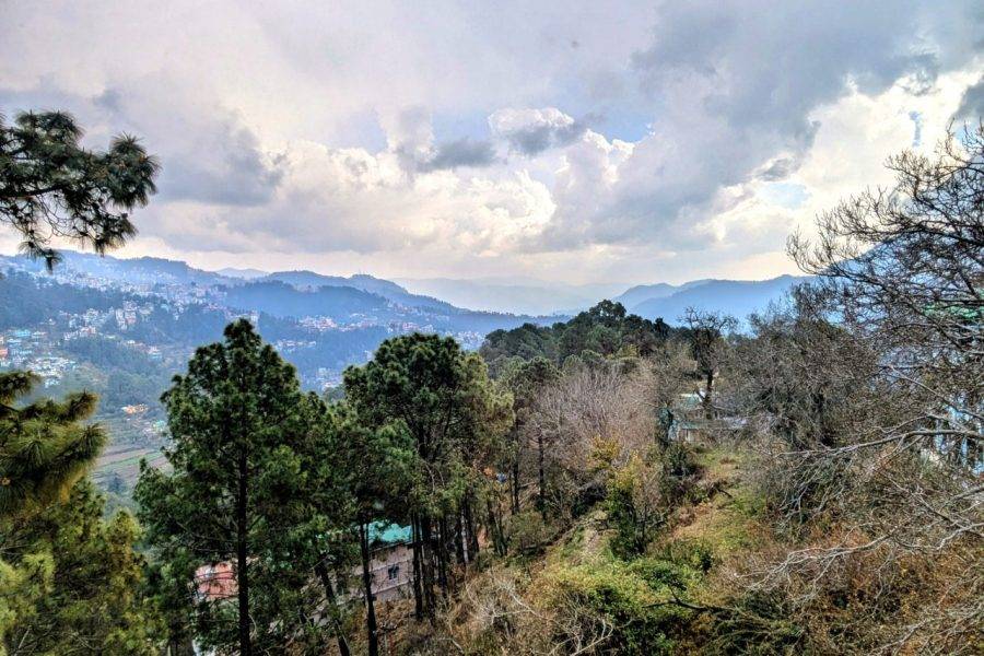 Homely Village Stay, Shimla