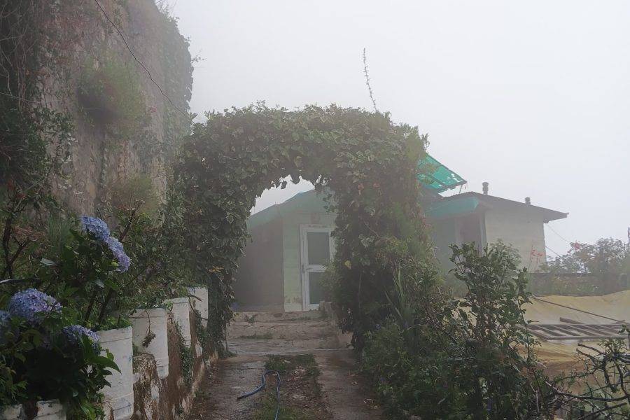Rain Valley Stay, Mashobra