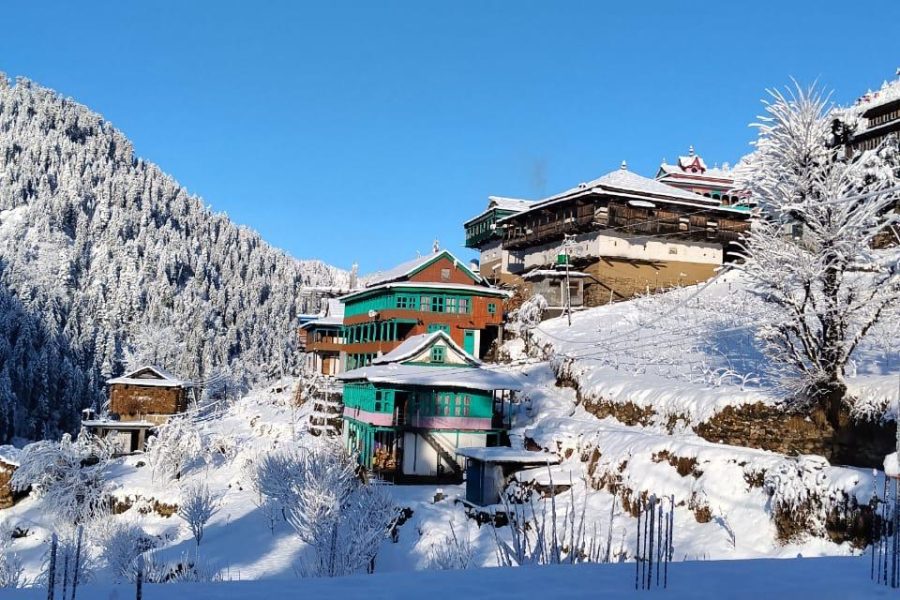 SnowFall Stay, Shoja